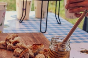 アゾレス諸島養蜂ツアーと蜂蜜の試食