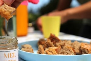 アゾレス諸島養蜂ツアーと蜂蜜の試食