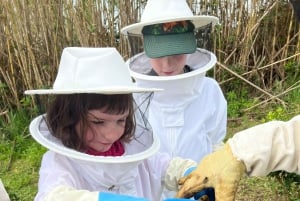 アゾレス諸島養蜂ツアーと蜂蜜の試食