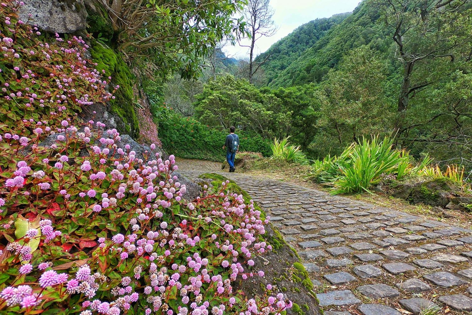 Açores : Randonnée guidée Salto do Prego - Sanguinho