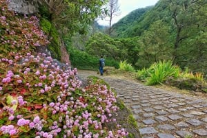 Azores: Guided Hiking Tour Salto do Prego - Sanguinho