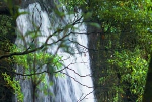 Azores: Guided Hiking Tour Salto do Prego - Sanguinho