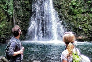 Azores: Guided Hiking Tour Salto do Prego - Sanguinho