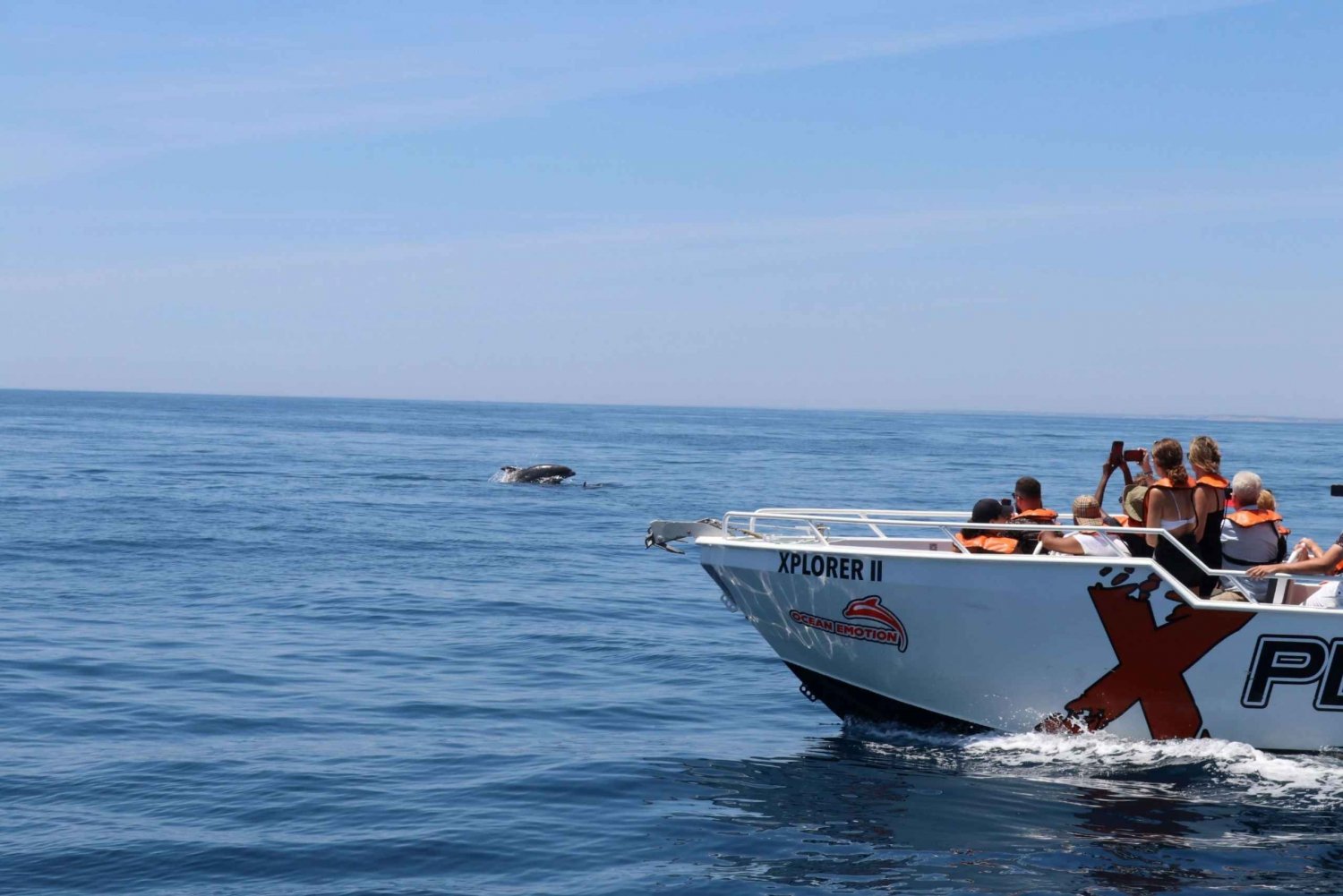 Benagil: Excursión de 2,5 horas por la costa y con delfines