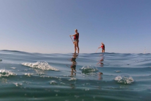 Benagil 2h Stand Up Paddle Tour