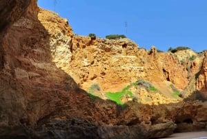 Von Portimão aus: Tour zur Benagil-Höhle & Marinha mit dem Katamaran