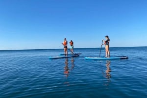 Benagil: Benagil Cave Stand Up PaddleBoard Tour at Sunrise