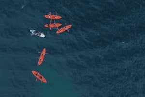 Benagil: tour en kayak al amanecer por las cuevas de Benagil con guía