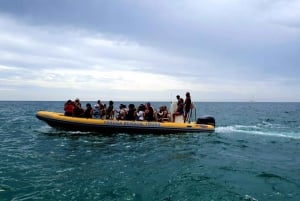 Vilamoura: Gruta de Benagil em pequeno grupo