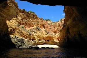 Depuis Portimão : Visite guidée des grottes de Benagil en hors-bord