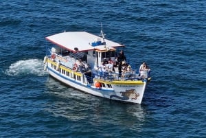 Portimão: Benagil Caves and Coast Boat Tour with Swim Stop