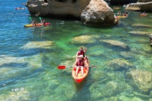 Lagoa: Benagil Caves and Wild Beaches Tour with Local Guide