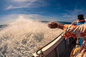 Benagil Express - tours to Benagil cave