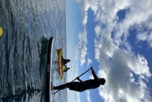 Benagil: Guided Kayak Tour in the benagil cave and remaining