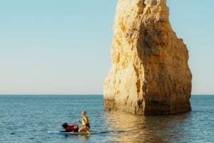 Benagil: Paddle board-oplevelse i Benagil-grotten og 4k-fotos