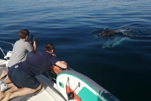Benagil Zeegrotten privé jacht charter vanuit lagos