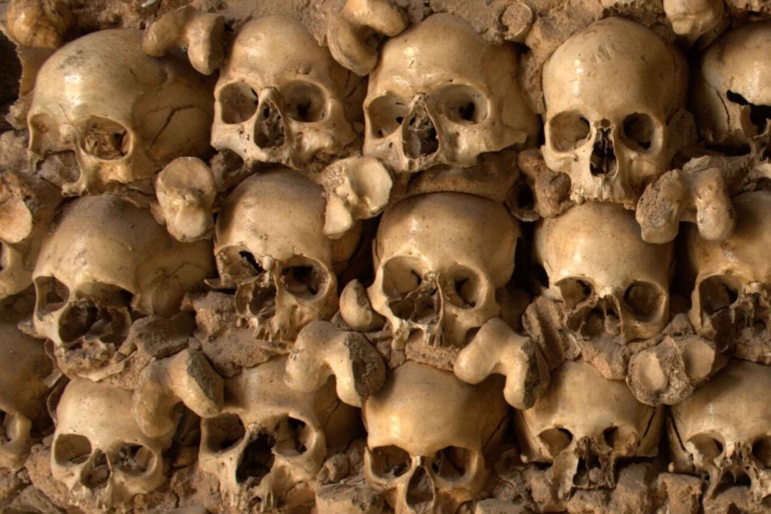 Benagil & Silves Castle Seightseing Tour from Albufeira