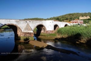 Benagil & Silves Castle Seightseing Tour from Albufeira