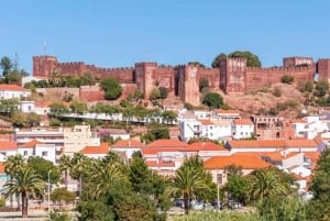 Benagil & Silves Castle Seightseing Tour from Albufeira