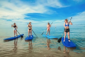 Odkryj jaskinie Benagil podczas wycieczki z przewodnikiem na desce do paddleboardingu