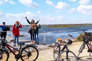 Best of Faro - Guided Bike Tour (3h)