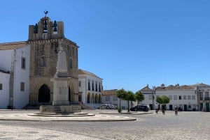 Best of Faro - Guided Bike Tour (3h)