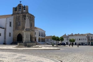 Lo mejor de Faro: tour guiado en bici (2,5 h)