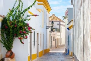 Das Beste von Faro: Private Tour zu Fuß mit einem Einheimischen