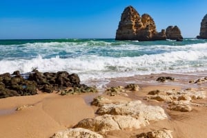 Best of Faro: Private Walking Tour with a Local