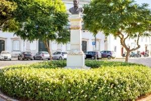 Best of Faro: Private Walking Tour with a Local