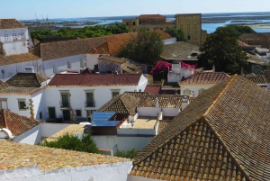 Best of Faro: Private Walking Tour with a Local
