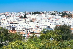 Best of Faro: Private Walking Tour with a Local