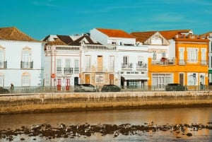 Best of the East: Day Trip to Faro, Olhão, Tavira, & more