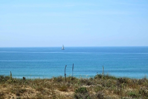 Between land and ocean