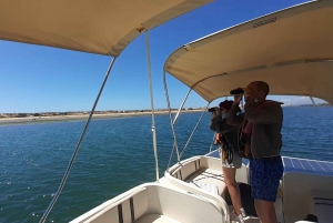 Birdwatching in Ria Formosa: Eco Boat Tour from Faro