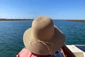 Faro: Ria Formosa Eco Birdwatching Boat Tour