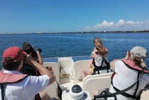 Faro: Ria Formosa Eco Birdwatching Boat Tour