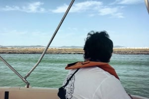 Faro: Ria Formosa Eco Birdwatching Boat Tour