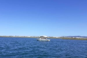 Faro: Ria Formosa Eco Birdwatching Boat Tour