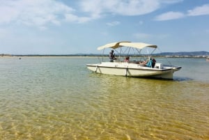 Faro: Ria Formosa Eco Birdwatching Boat Tour