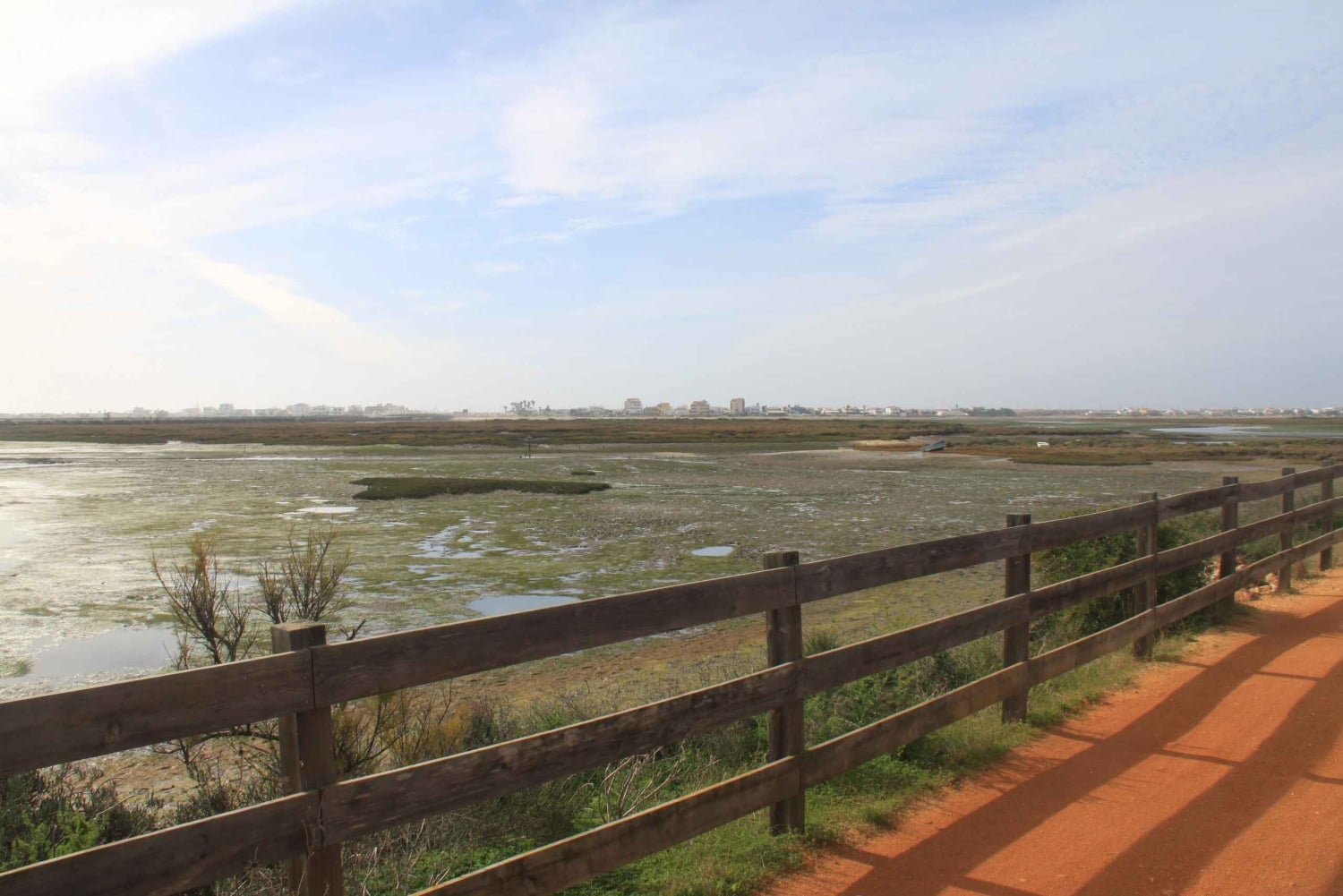 Birdwatching nella Ria Formosa