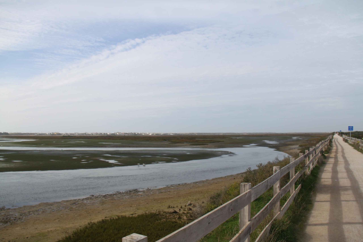 Birdwatching nella Ria Formosa
