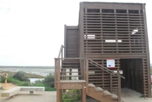 Birdwatching nella Ria Formosa