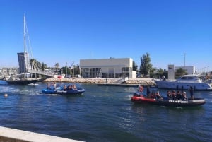 Boat Cruise to Algar de Benagil from Lagos