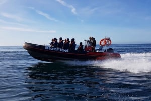 Boat Cruise to Algar de Benagil from Lagos