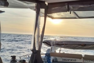 Boot in Algarve - Luxe Catamaran - Lagos