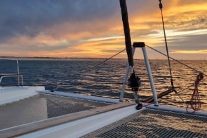 Boot in Algarve - Luxe Catamaran - Lagos