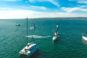 Boot an der Algarve - Luxus-Katamaran - Portimão