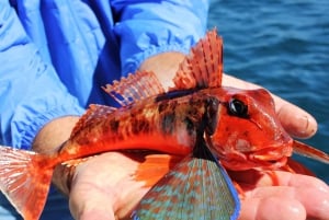 Bottom Fishing Lagos