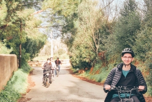 Carvoeiro & Ferragudo: Privat Fat Bike-tur